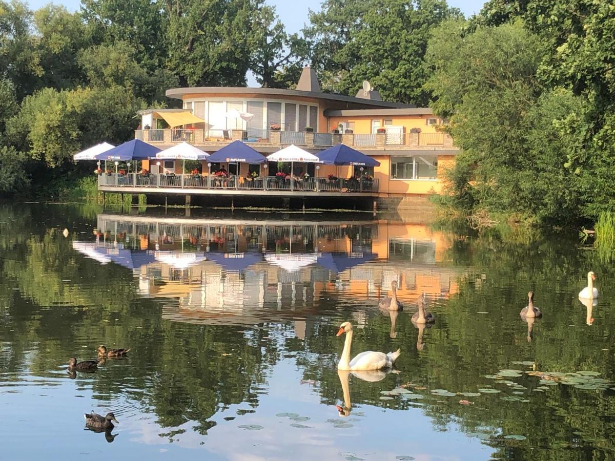 Pension Am See Torgau Ngoại thất bức ảnh